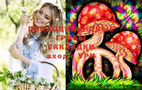 меф Алексин