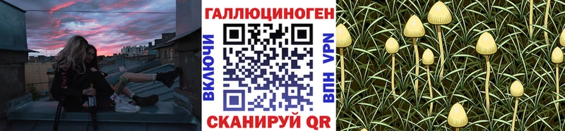 Псилоцибиновые грибы Magic Shrooms  купить закладку  omg ссылка  Арск 